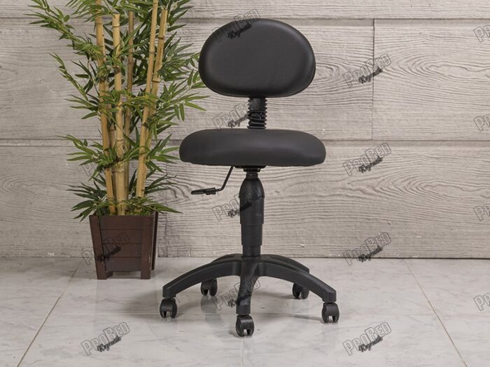 Amortisörlü Çalışma Sandalyesi | Siyah - Plastik Ayak